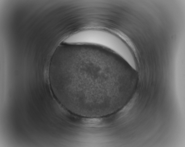 X0000089701337200707051636