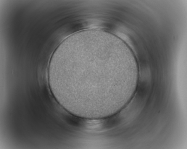 X0000089701338200707051636