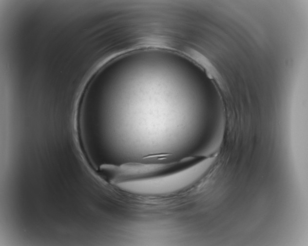 X0000089701339200707051636