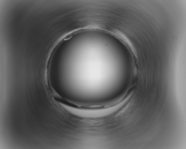 X0000089701340200707051636