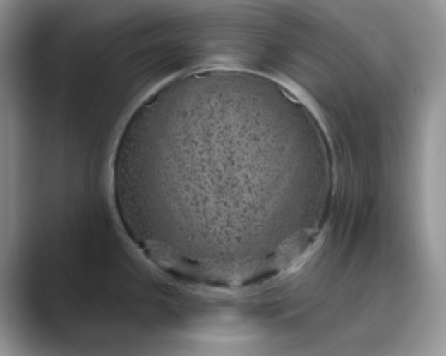 X0000089701341200707051637