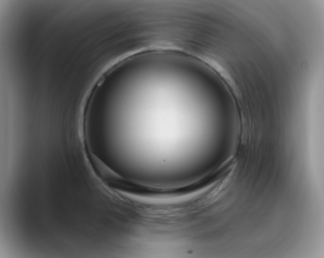 X0000089701342200707051637