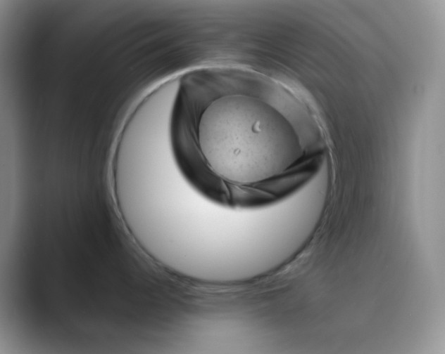 X0000089701344200707051637