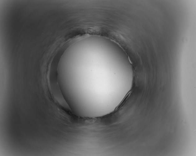 X0000089701345200707051636