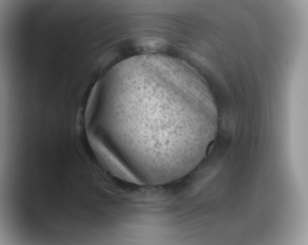 X0000089701346200707051636