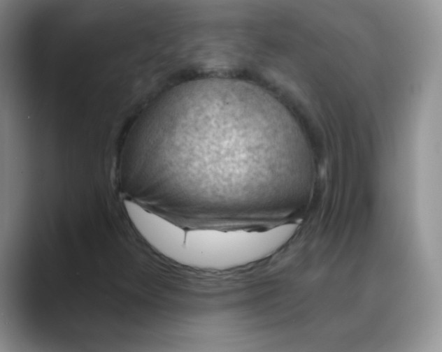 X0000089701348200707051636