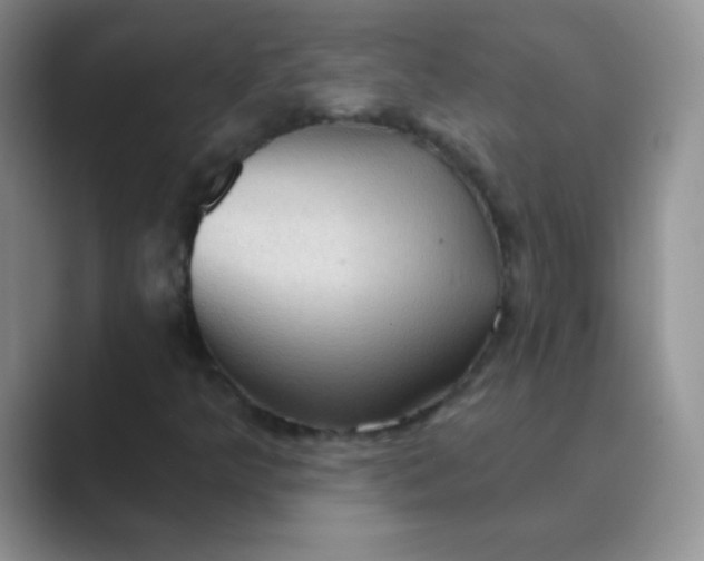 X0000089701349200707051636