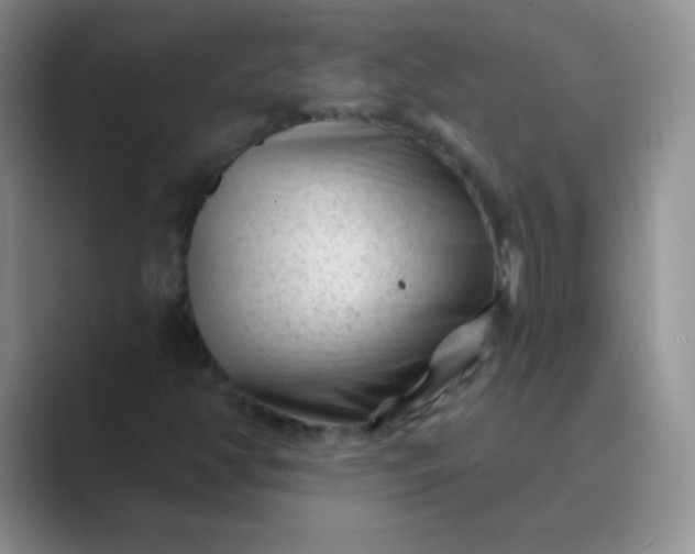 X0000089701350200707051636