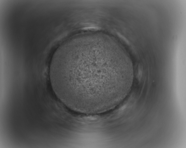 X0000089701351200707051636