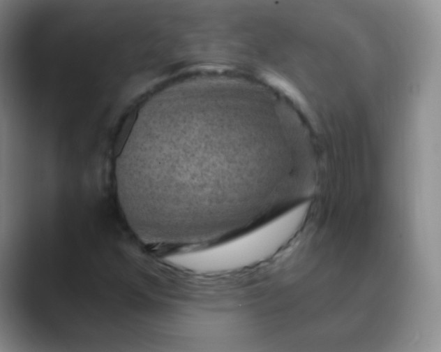 X0000089701352200707051636