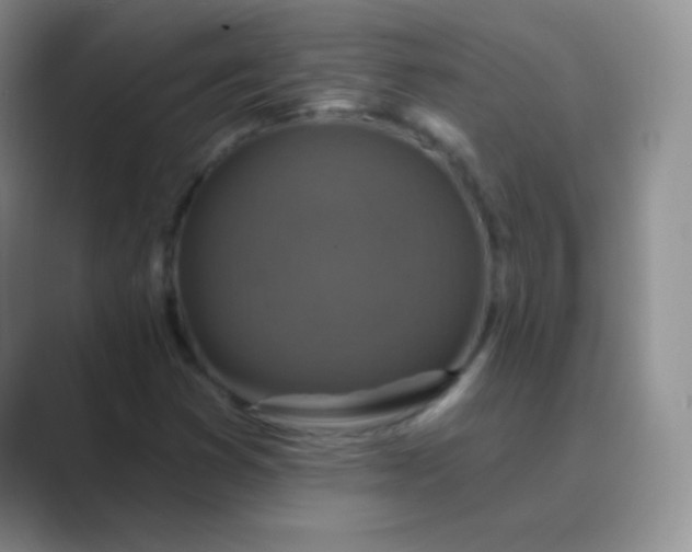 X0000089701353200707051636