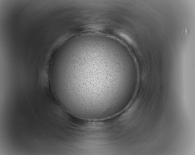 X0000089701354200707051636