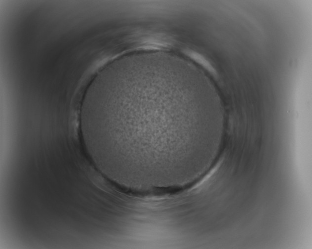 X0000089701355200707051636