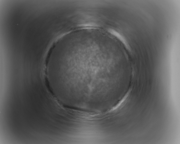 X0000089701357200707051636