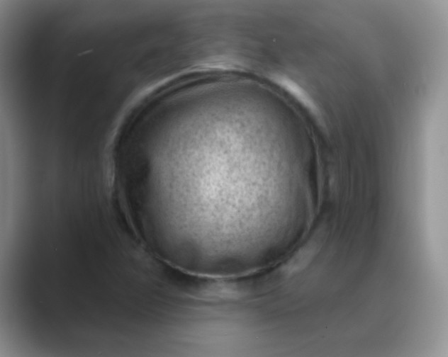 X0000089701358200707051636