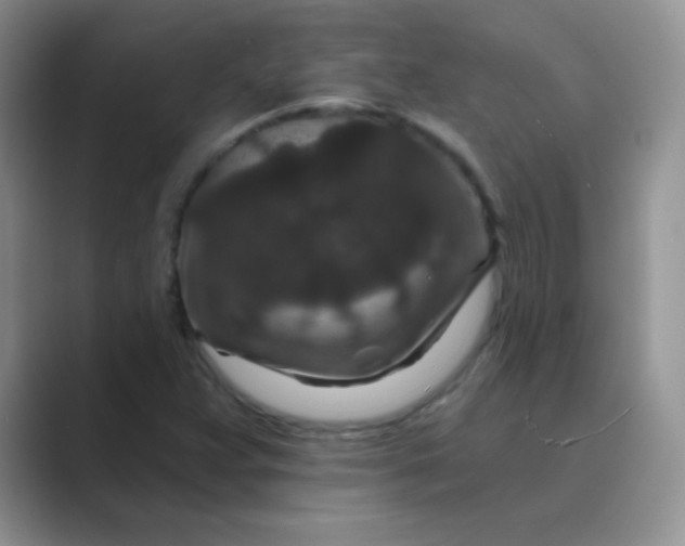 X0000089701359200707051636