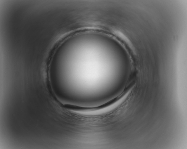 X0000089701360200707051636