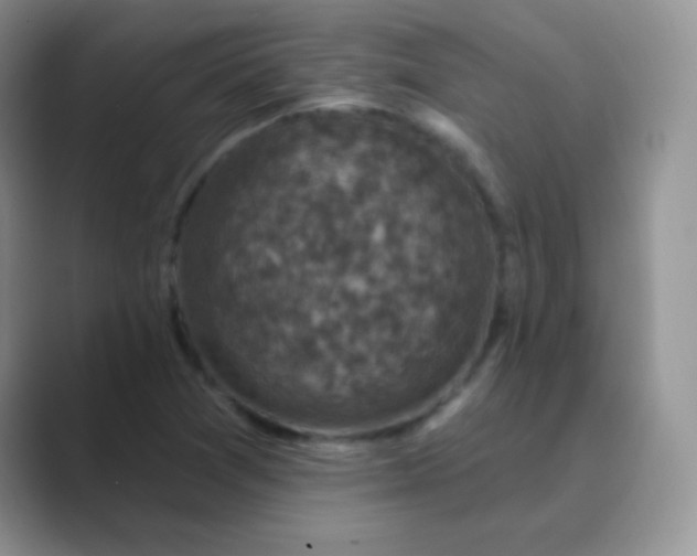 X0000089701361200707051636