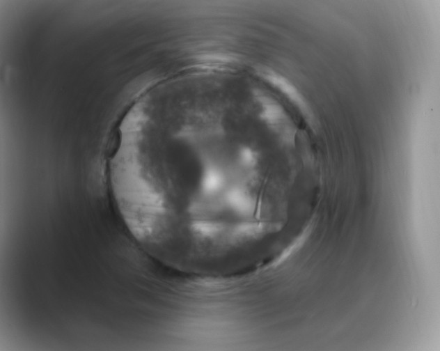 X0000089701362200707051636