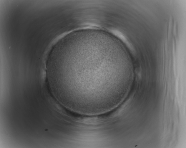 X0000089701363200707051636