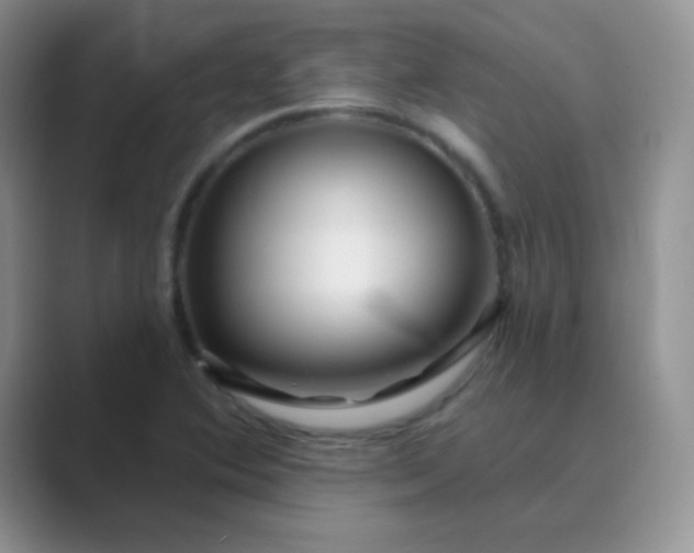 X0000089701364200707051636