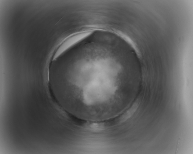 X0000089701365200707051636