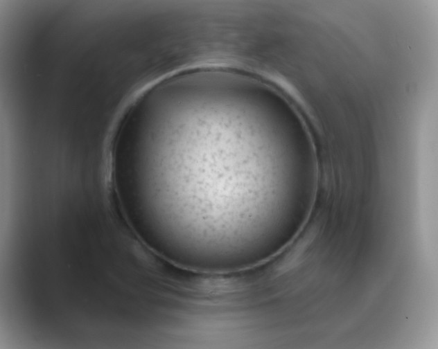 X0000089701366200707051636