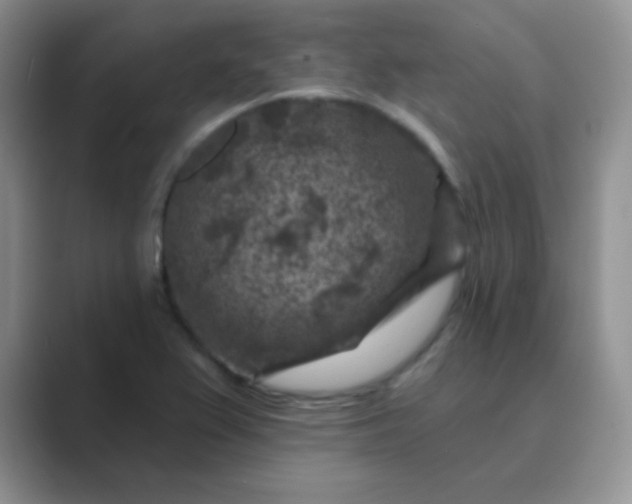 X0000089701367200707051636