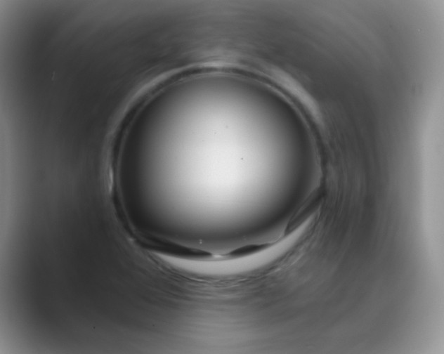 X0000089701368200707051636