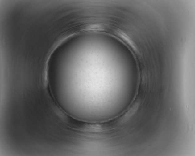 X0000089701370200707051636