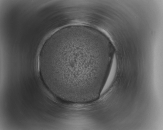 X0000089701371200707051636