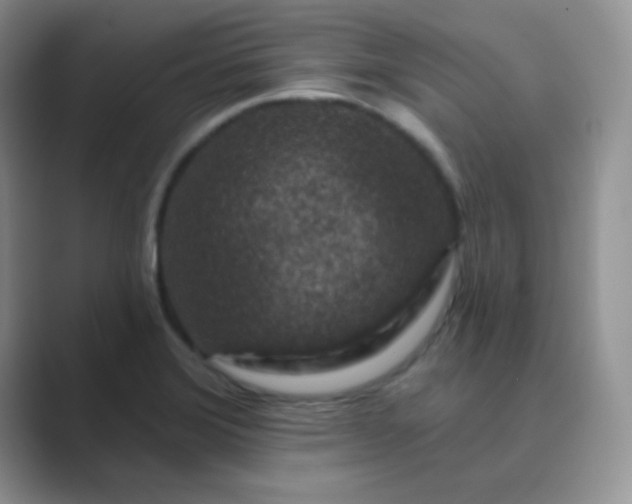 X0000089701372200707051636