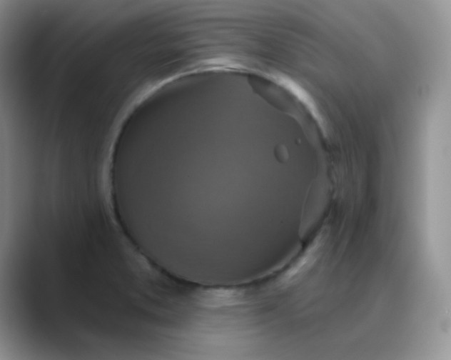 X0000089701373200707051636