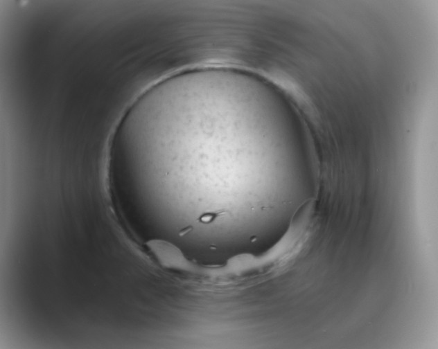 X0000089701374200707051636