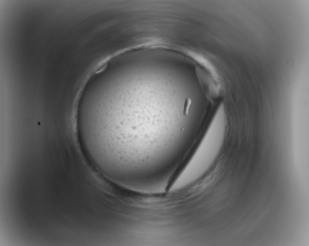 X0000089701375200707051636