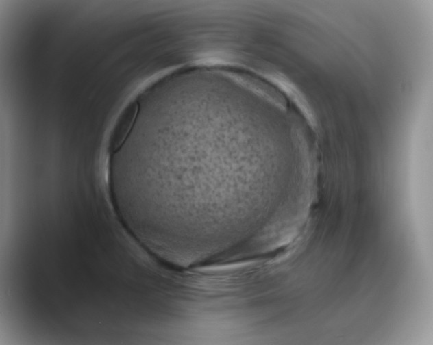 X0000089701376200707051636