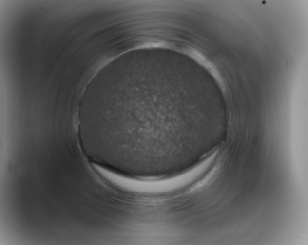 X0000089701377200707051636