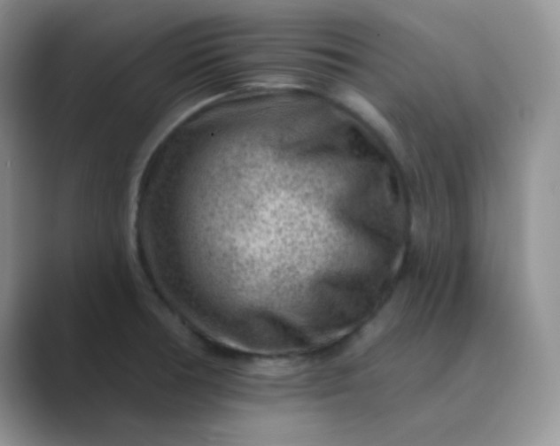 X0000089701378200707051636