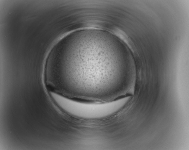 X0000089701379200707051636