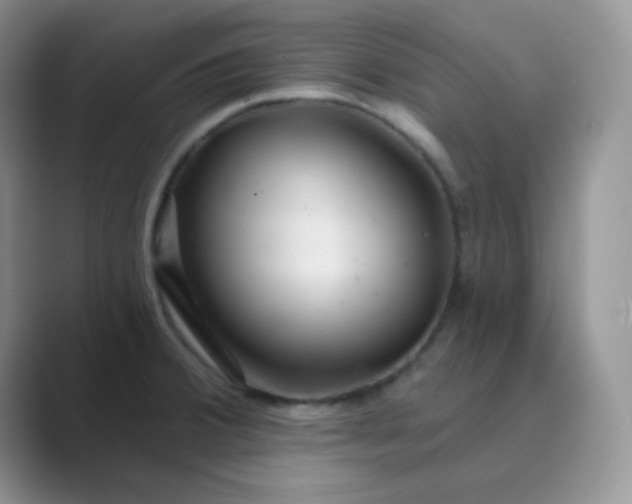 X0000089701380200707051636