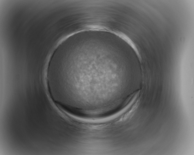 X0000089701381200707051636