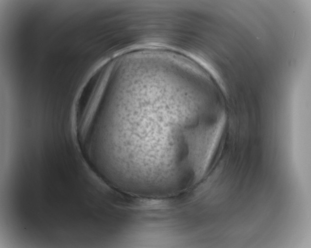 X0000089701382200707051636