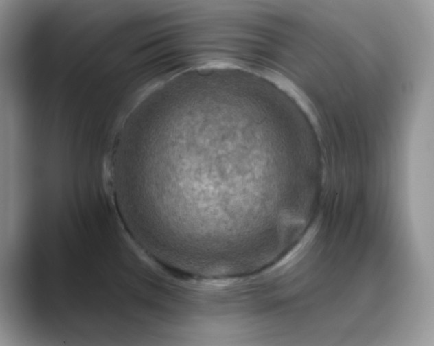 X0000089701385200707051636