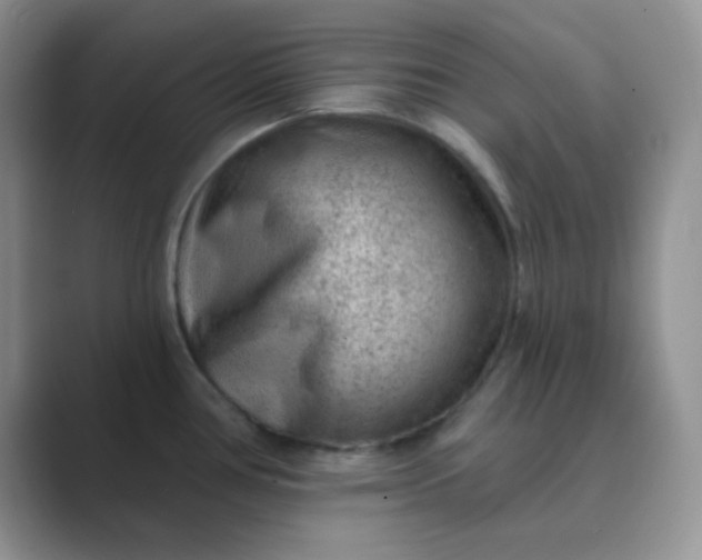 X0000089701386200707051635