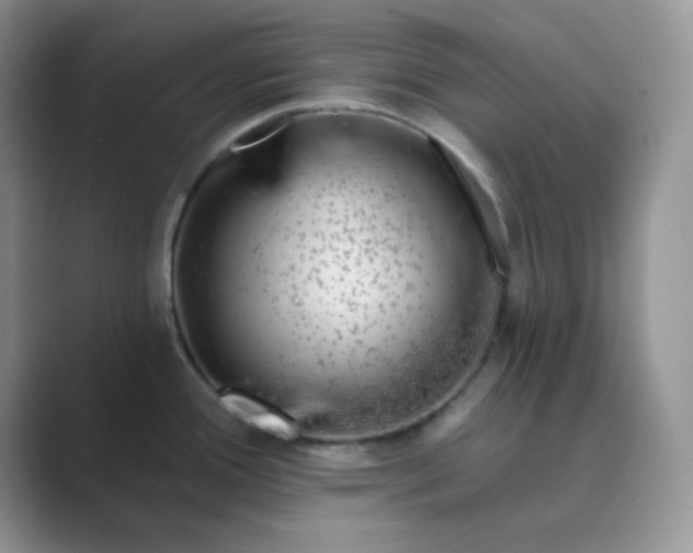 X0000089701388200707051635