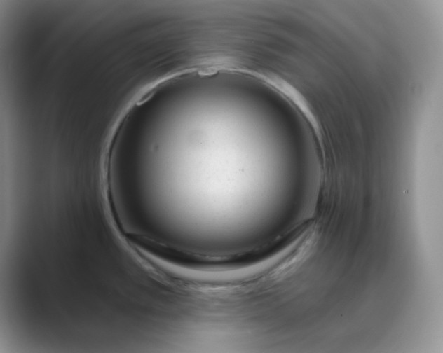 X0000089701389200707051635