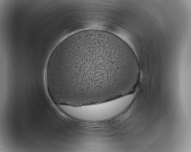 X0000089701391200707051635