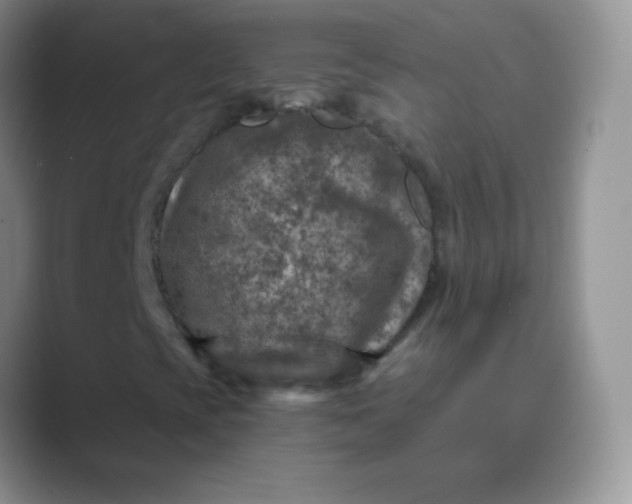 X0000089701393200707051635