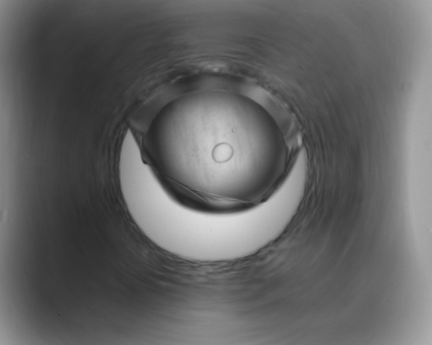 X0000089701394200707051635