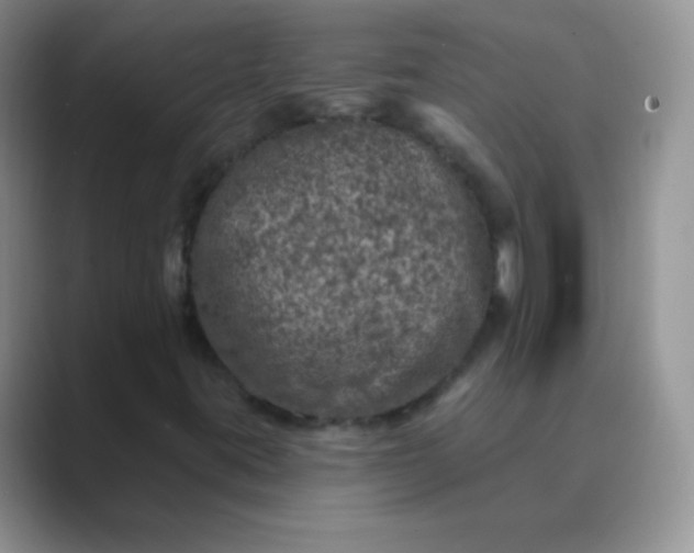 X0000089701395200707051635